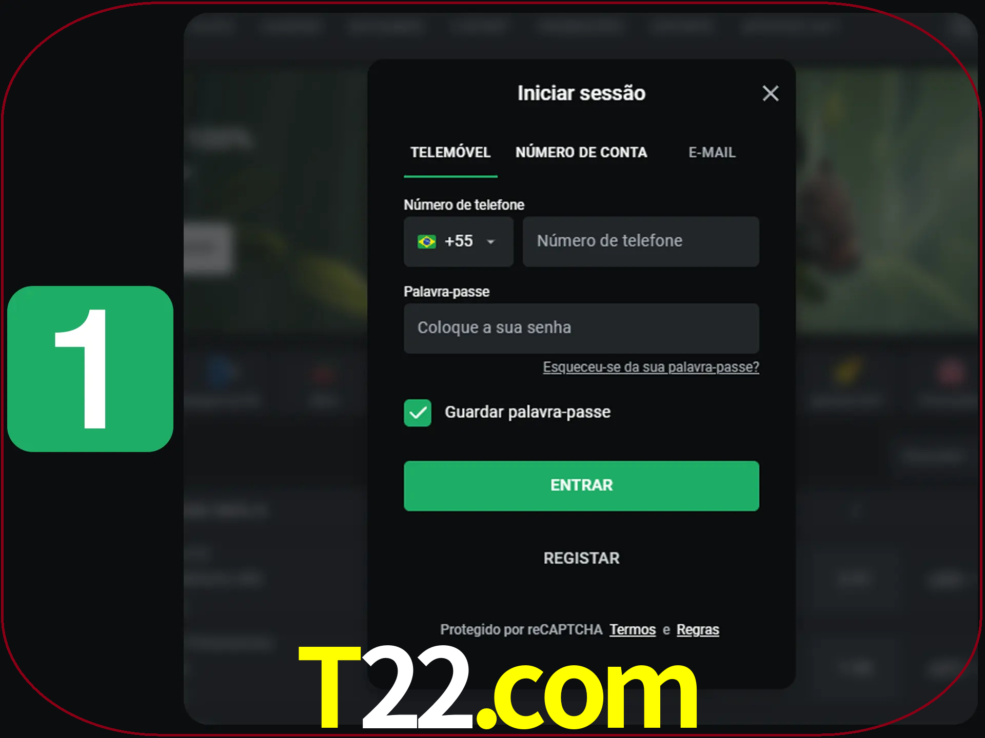 Clique no botão Entrar.